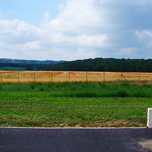 Parcelle 5