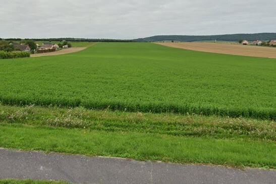 terrain