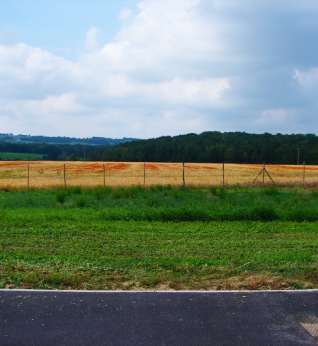 Parcelle 5