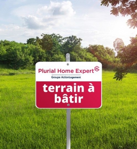 terrain